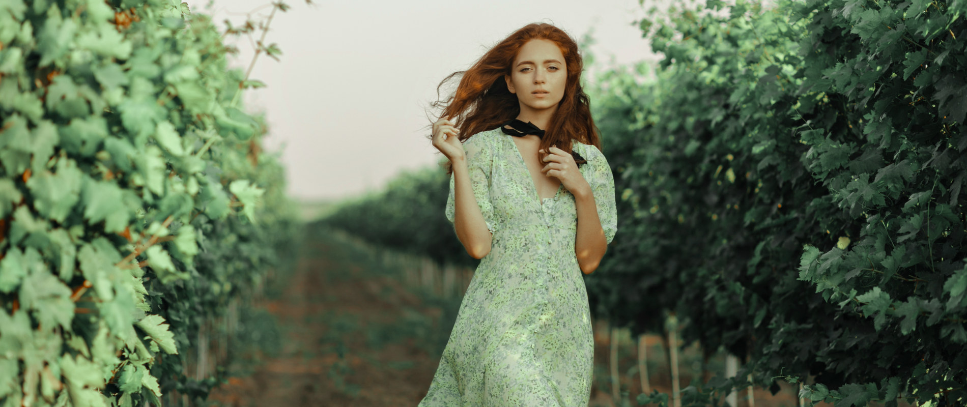 robe verte sauge accueil